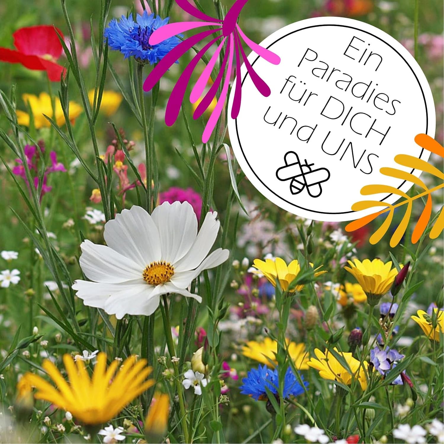 100 G Blumensamen Für 100 Qm Blumenwiese Bienen Booster Im Eigenen Garten Ein- Und Mehrjährig (Blumen-, Kräuter- & Kulturartensamen) Für Ein Bienenparadies Insektenfreundlich