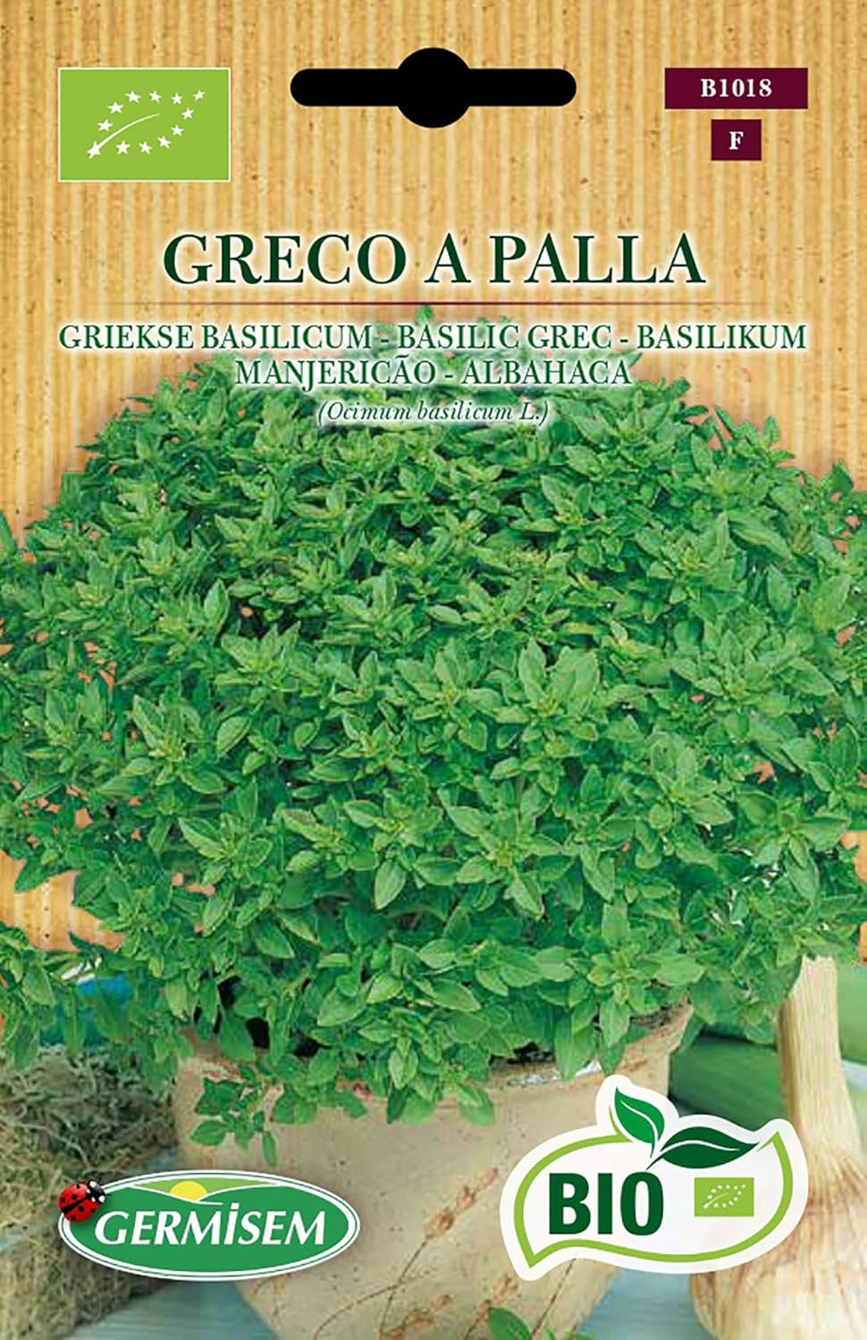 Basilikum GRECO a PALLA, ECBIO1018