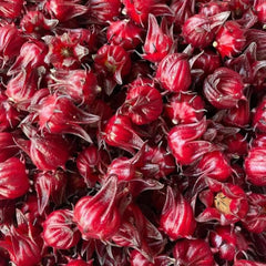 Hibiscus Sabdariffa - Wildkräuter Luftreinigende Zimmerpflanzen Schnell Wachsende Sträucher Hecken Exotische Balkon Pflanzensamen Kräutersamen Gartenblumen Kräutergarten Geschenk 200Samen