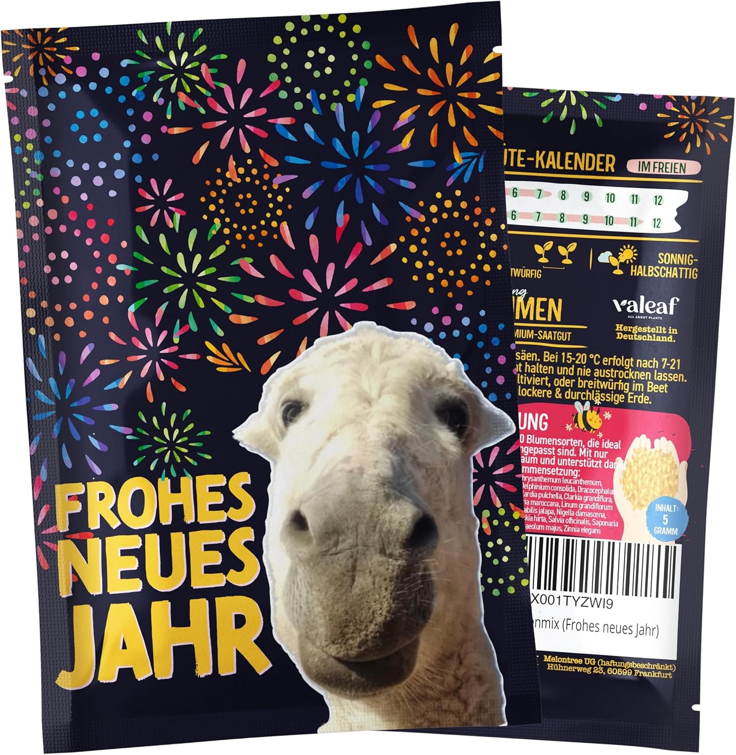 Vánoční strom 2030 - Nordmann semena vánočního stromku pro zasazení vánočního stromku, ideální jako vánoční dárek Secret Santa