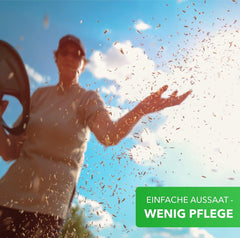 Magie přírody 800g. Blumensamen Mischung - Bienen Paradies - Blühfreudige Bienenweide pro 150 až 250 m²