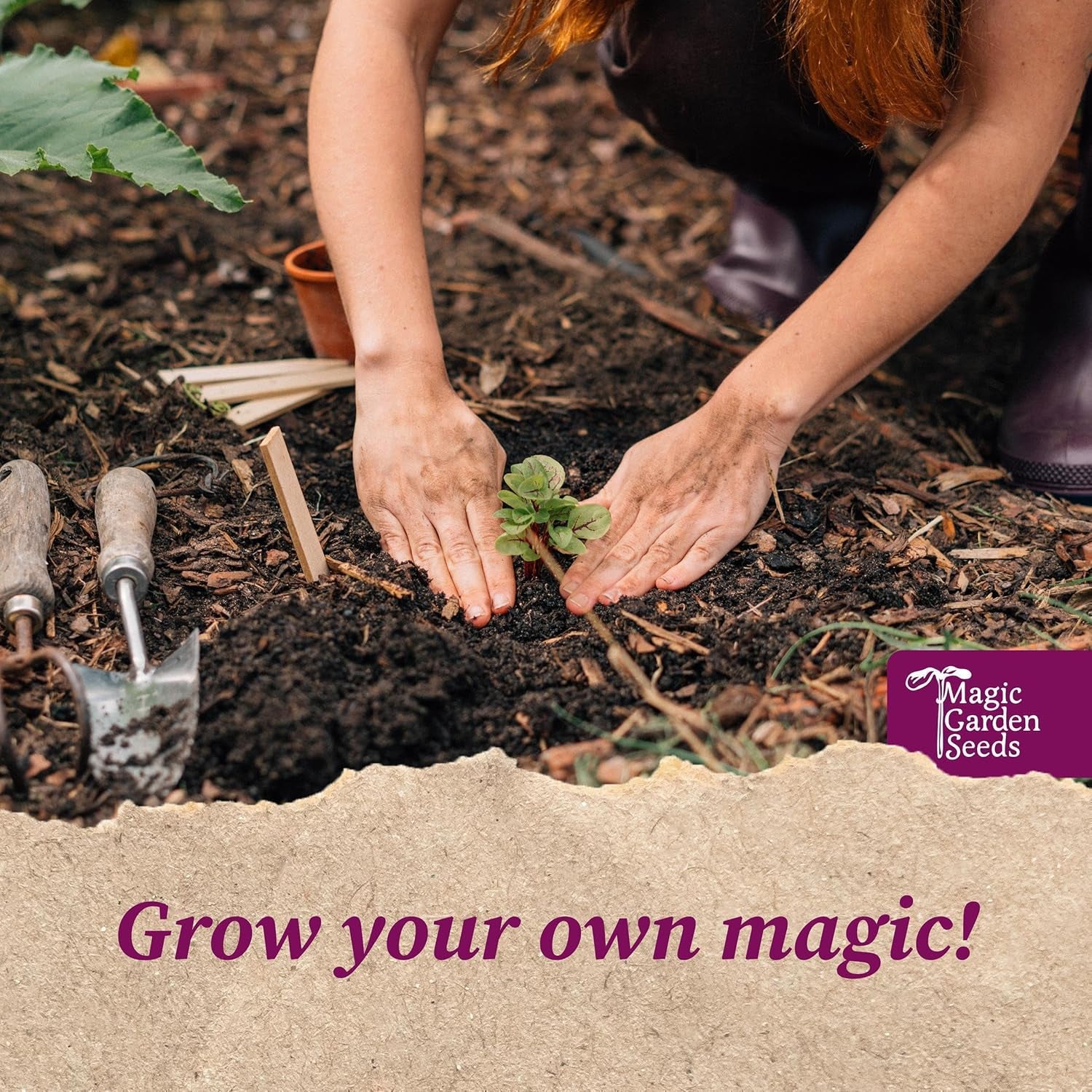 Magic Garden Seeds - Mittelalter Garten - Samen Geschenkset Mit 7 Pflanzen Für Den Mittelalterlichen Garten - Anzuchtset Mit Pfefferminze, Weinraute, Liebstöckel, Mangold, Pastinaken, Mispel, Einkorn