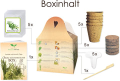 Kouzlo přírody Oma's Küchenkräuter Box - Anzuchtset - 5 Sorten frische Kräuter Samen - Zum Selberzüchten oder zum Verschenken
