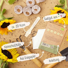 Bio Kleine Sonnenblumen Samen, 20 Blumensamen Mit Hoher Keimquote, Sonnenblumensamen Für Deinen Garten, Balkon, Beet Oder Als Gastgeschenk. Samenfestes Blumen Saatgut.