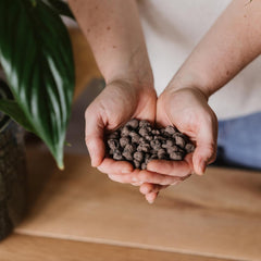 Westland Clay Granule, 5 L - Granule pro rostliny ideální pro hydroponii, drenážní substrát bez chemických přísad, pro vnitřní i venkovní použití