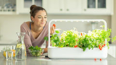 Vnitřní zahrada Click and Grow, jednodušší než hydroponický systém pěstování, LED Smart Garden, bylinková zahrada, vnitřní skleník s 9 rostlinnými kapslemi (bílé)