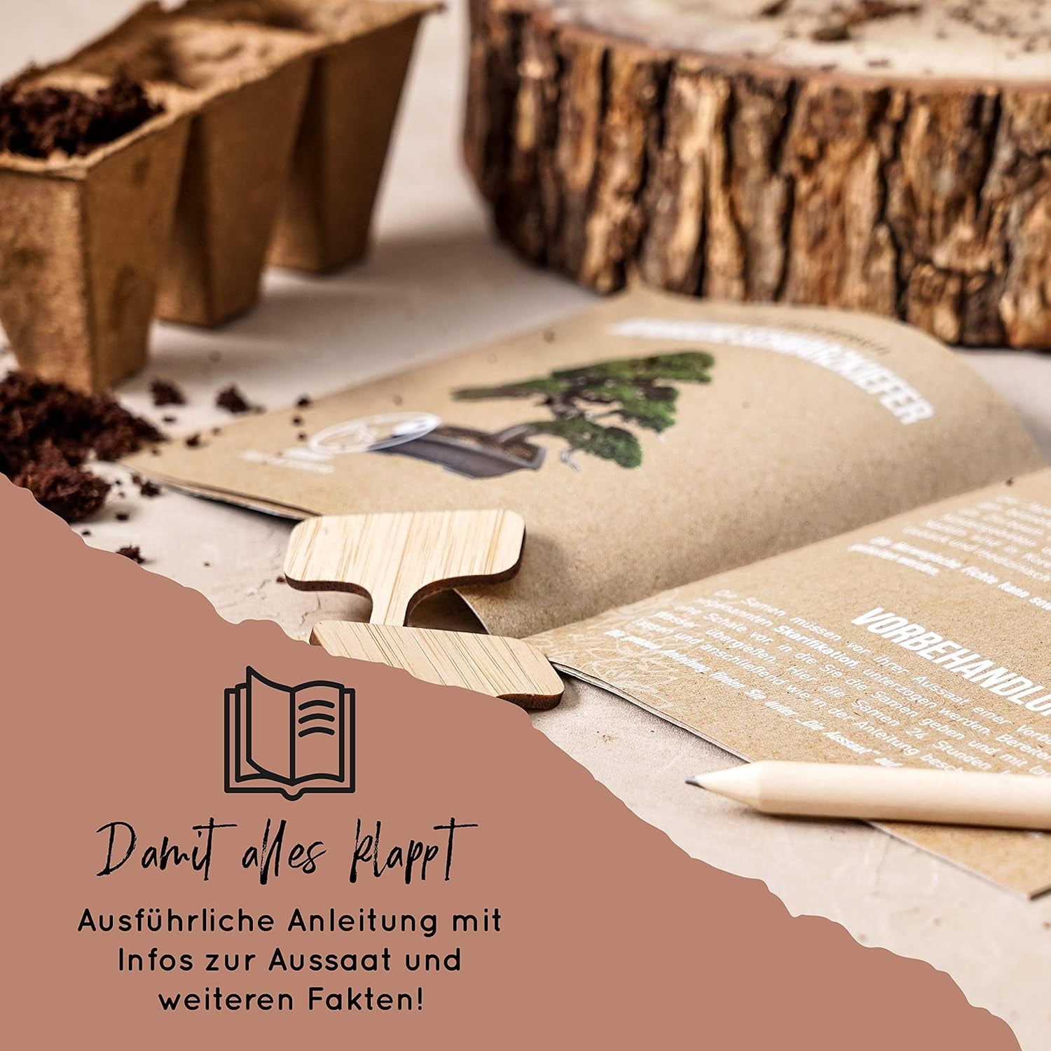 10 bonsajových semínek z 5 kontinentů | Semena exotických stromů pro vaši jedinečnou bonsai | Starter Kit a rostlinné nadšence | Naše sada bonsají jako tip na speciální dárek