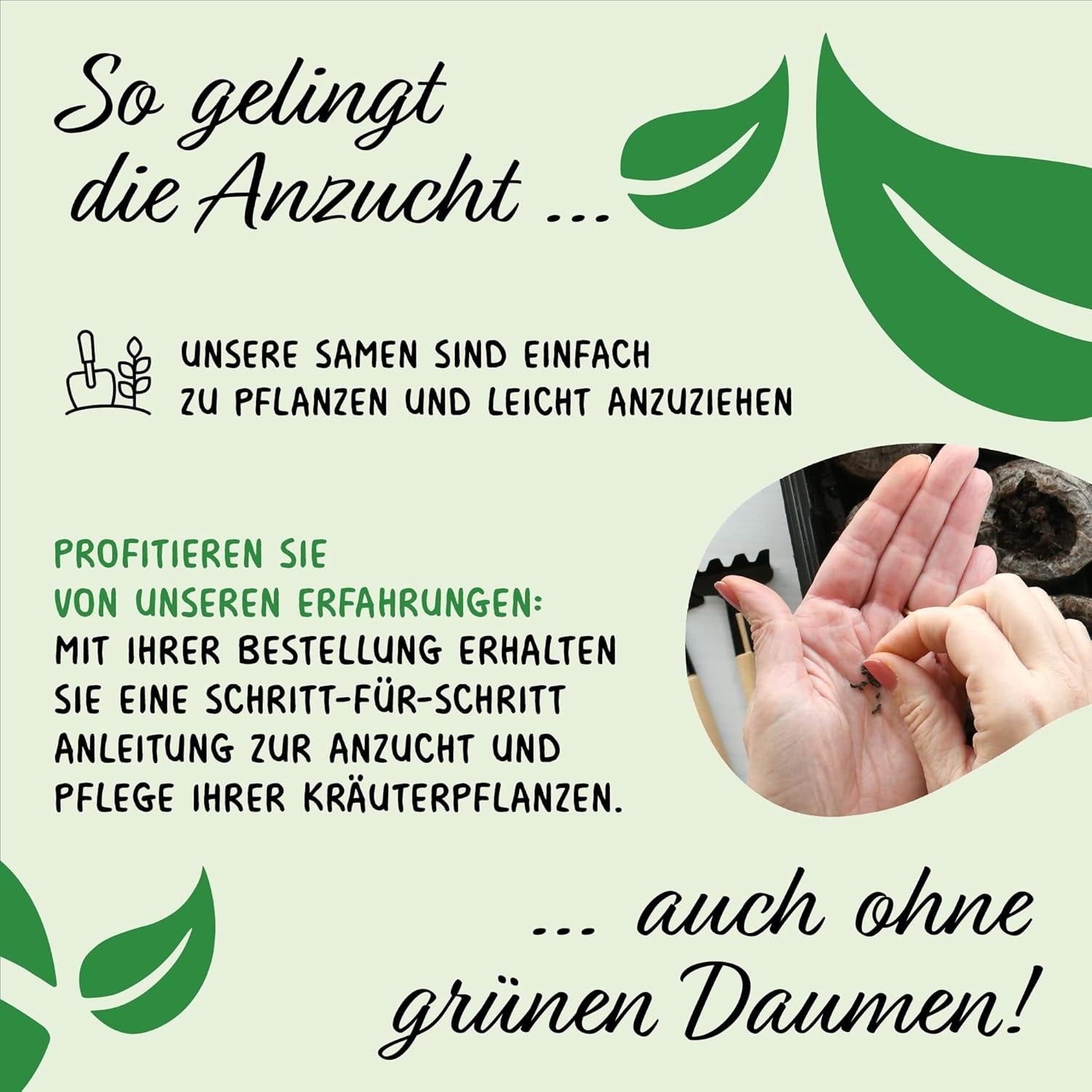 Prademir – Kräutersamen Set aus 16 beliebten Küchenkräutern – Kräuter Anzuchtset mit 100% Natursamen aus Portugal – Kräuter Saatgut aus Oregano, Tymián, Majoránka, Rosmarin, Kopr, Basilikum, Sage uvm