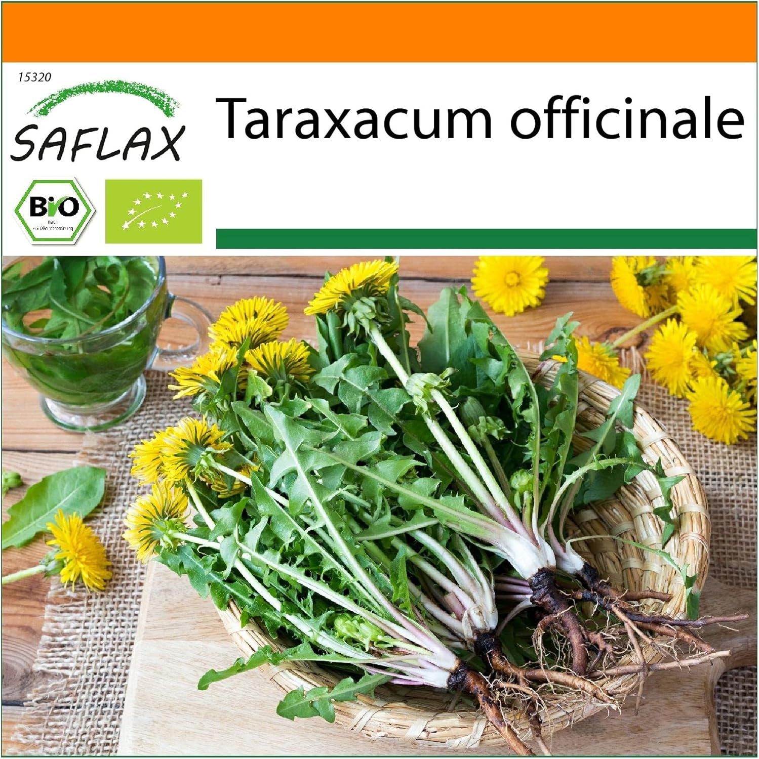 SAFLAX - BIO - Pampeliška - 400 semen - Taraxacum officinale