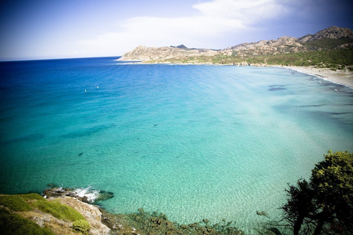 Jumbo Kaffee | Elefantenkaffee Maragogype (1000 g, Ganze Bohnen) - Die größten Bohnen der Welt, ohne Säure, extra mild