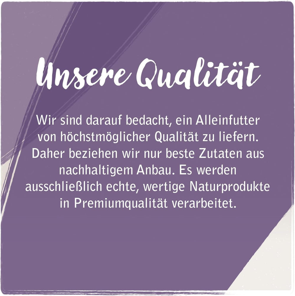 Venandi Animal - Hrană umedă premium pentru pisici - Cal ca monoproteină, pachet de 12 (12 x 125 g), fără cereale, monoproteină