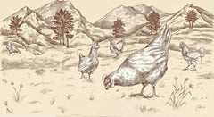 BioGourmet stuhové nudle se Schüttelbrotem z Jižního Tyrolska (CHZO) | Slané a ochucené vaječné nudle s pravou špetkou z Jižního Tyrolska | 1 x 250 g bio