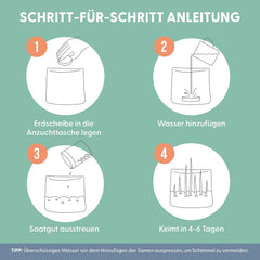 The Cat Ladies 3Er Set Katzengras Samen - Gras Anzuchtset Für Katzen - Gras Zum Fressen Für Die Katze - 3X Katzengrassamen Set - Katzengras Für Balkon Und Wohnung