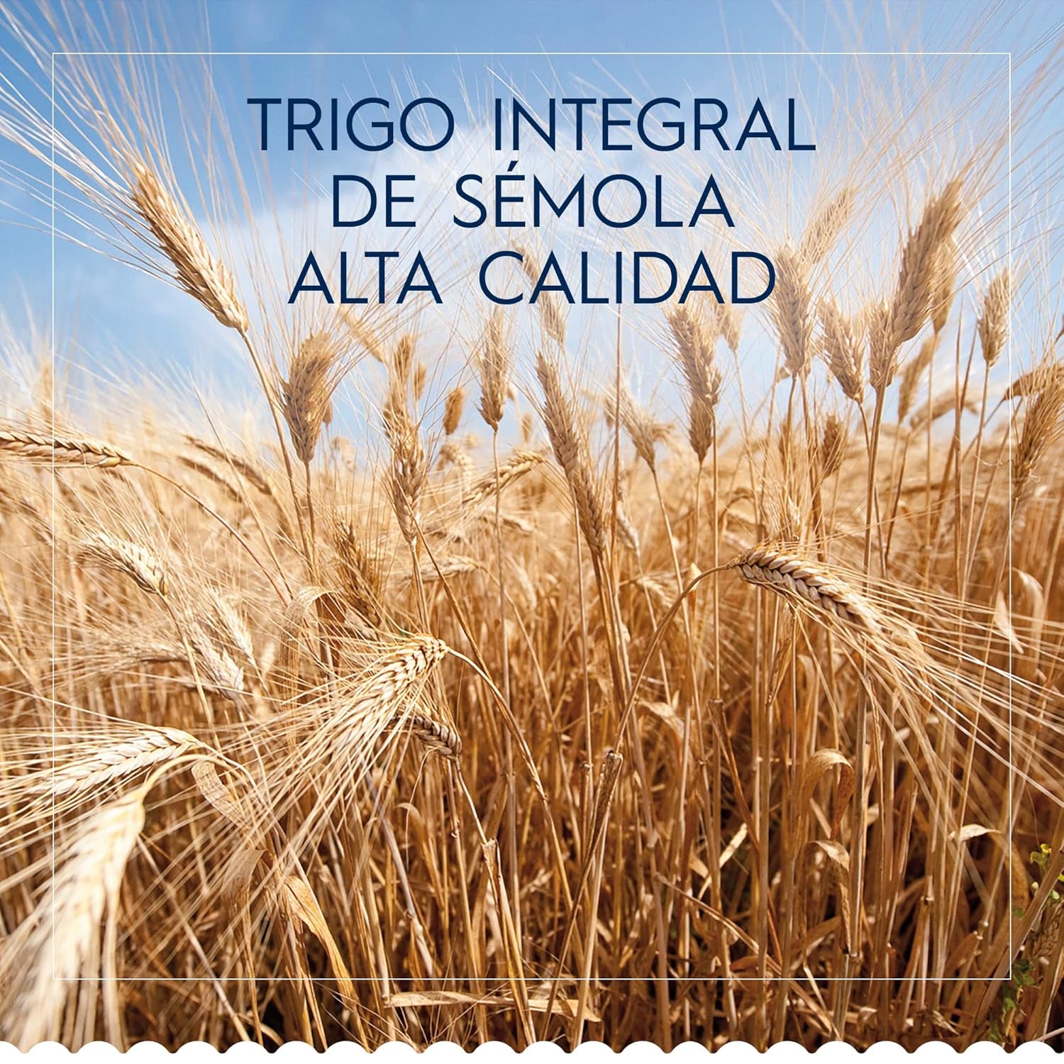 Barilla Classic Spaghetti No. 7 těstoviny z tvrdé pšenice, vždy al dente (1 x 500 g)