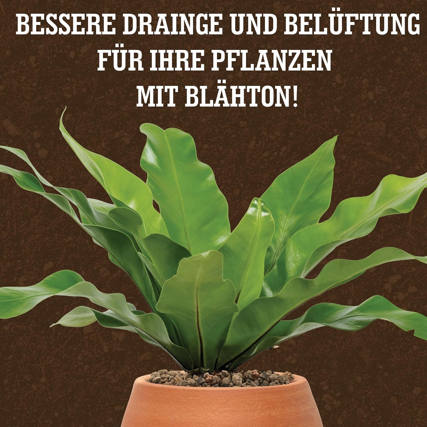 LERAVA® Expanded Clay (1L) – Jílové granule pro pokojové rostliny a hydroponii – Rostlinný jíl s neutrálním pH pro optimální odvodnění – Ideální jako drenážní vrstva nebo dekorativní jílové granule pro rostliny