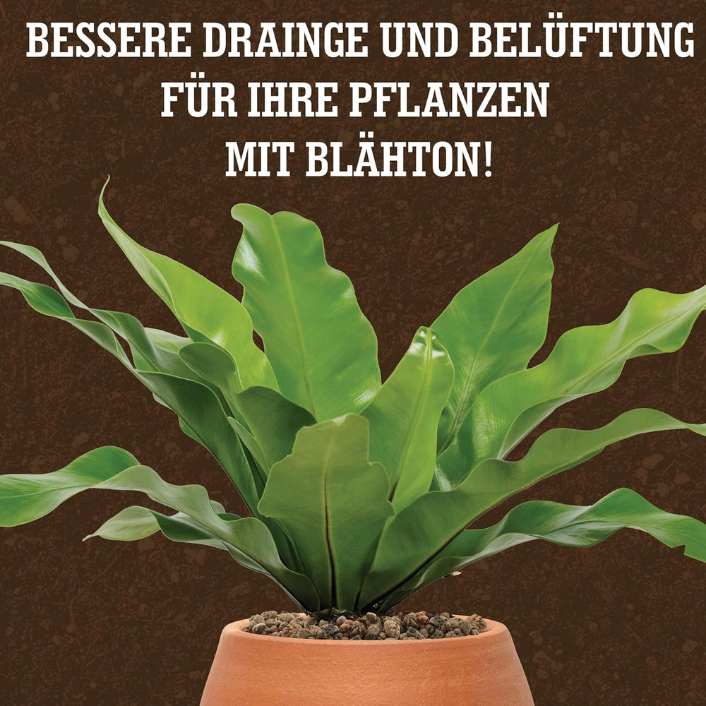LERAVA® Expanded Clay (1L) – Jílové granule pro pokojové rostliny a hydroponii – Rostlinný jíl s neutrálním pH pro optimální odvodnění – Ideální jako drenážní vrstva nebo dekorativní jílové granule pro rostliny