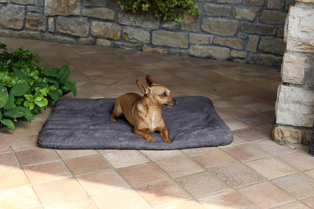 Sogni E Capricci Super Soft Mat, Krémová, 104X75CM, Polyester, Peřiny a přikrývky Naty Shop Grey 62X50Cm