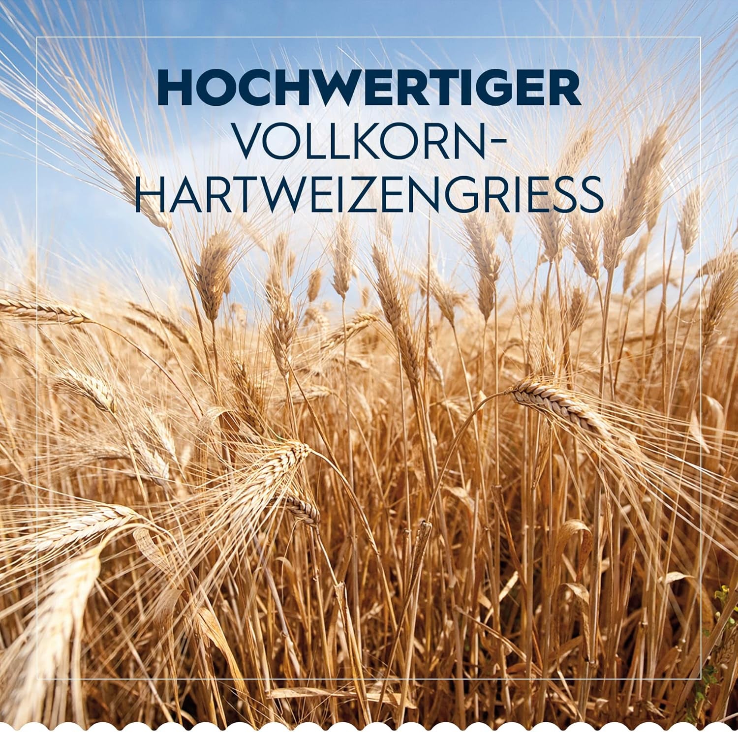 Barilla Pennette Rigate celozrnné těstoviny, balení 9 ks (9 x 1 kg)