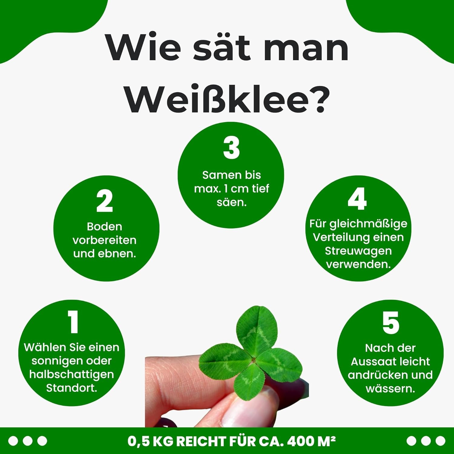Mikroklee - Weißklee Trifolium Repens 500G - Rasenklee Bereichert Den Rasen - Klee Samen Zur Anlockung Von Bienen -Saatgut Für Gleichmäßige, Dichte Grasnarbe Das Ganze Jahr Über