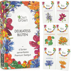 Essbare Blumen Samen Set : Delikatess Blumen Blumensamen Set se 6 Sorten Blumen Saatgut – Essbare Blumen Samen – Essbare Blumen für Torte – Essbare Blüten Tortendeko – Blumen Essbar von OwnGrown