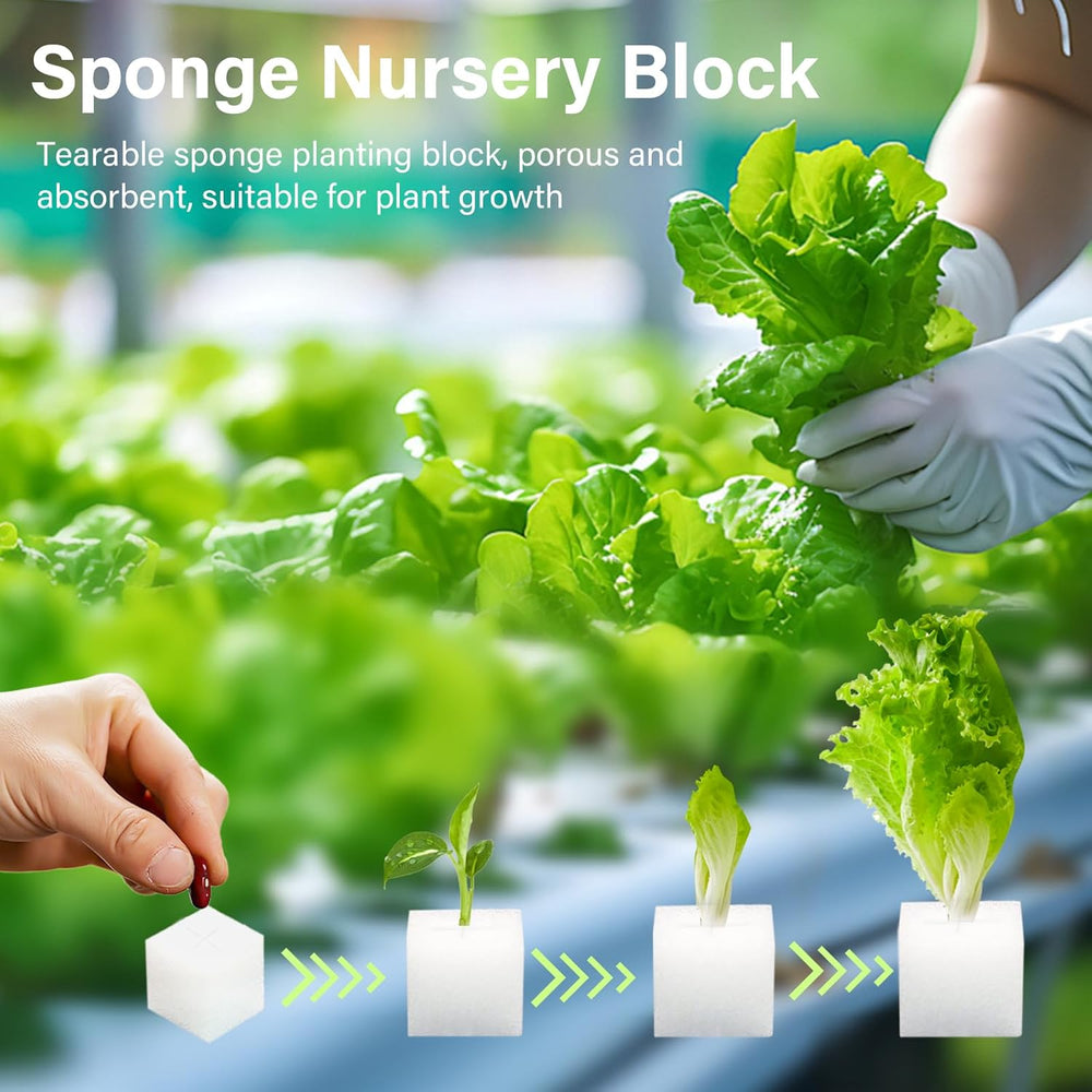 Rockwool, Propagace Rockwool, 2ks, Hydroponická houba, 200ks po nařezání - Alternativa pro skleník, klíčení semen a domácí zeleninu