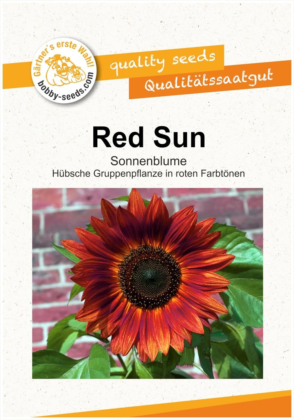 Procut White Night F1 Sonnenblumensamen Von Bobby-Seeds Portion