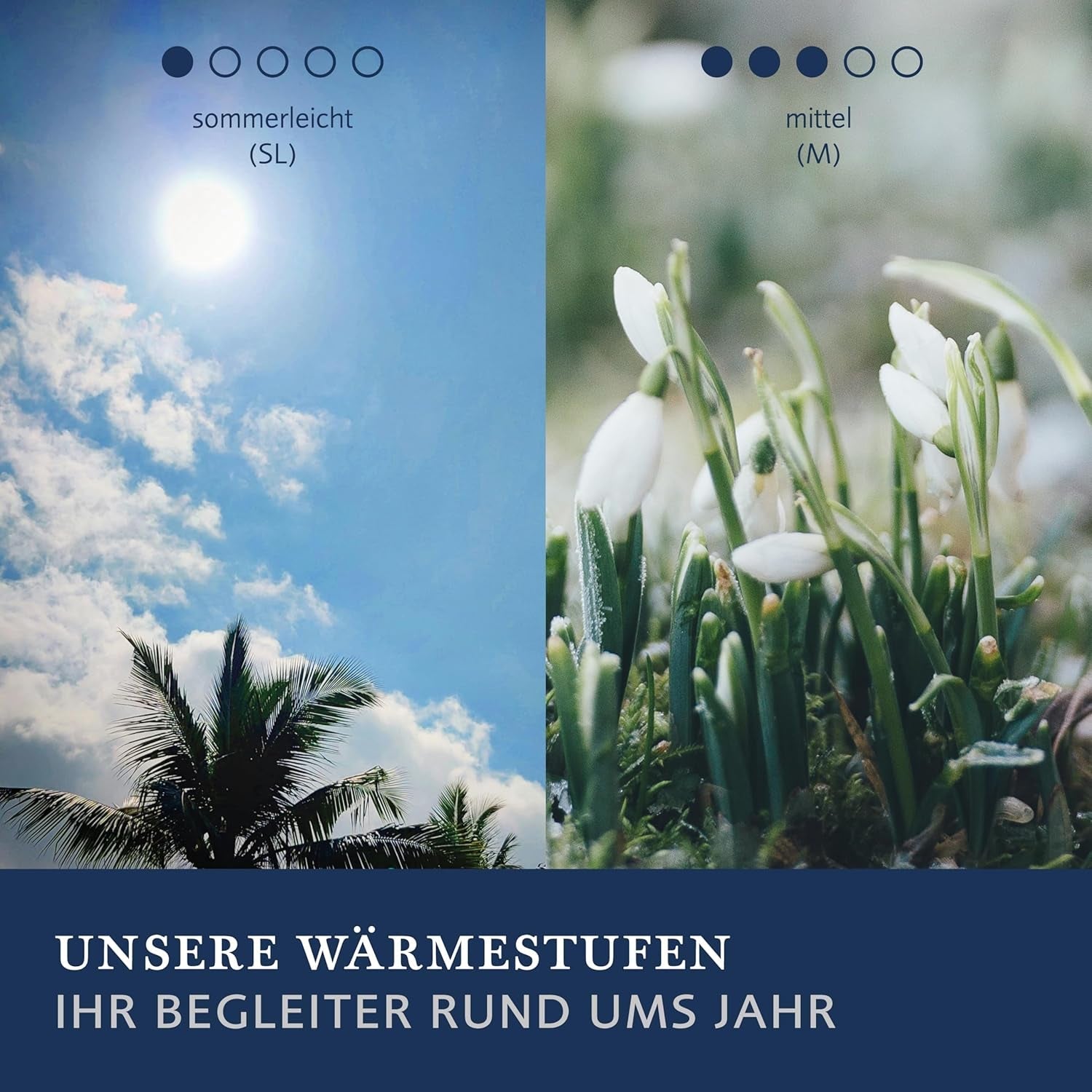 Billerbeck E48 Kairo přikrývka - Letní přikrývka - 135 X 200 Cm - Chladící přikrývka - S 60% velbloudí srst 40% panenská vlna Přikrývky a přikrývky Naty Shop