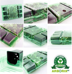 6 x Garten Scheinsonnenhut 'Doubledecker' - Echinacea Purpurea 'Doubledecker' Květináč 9x9cm: Doppelte Blüten, einzigartige Optik, zieht Bienen an, ideal für Gärten.