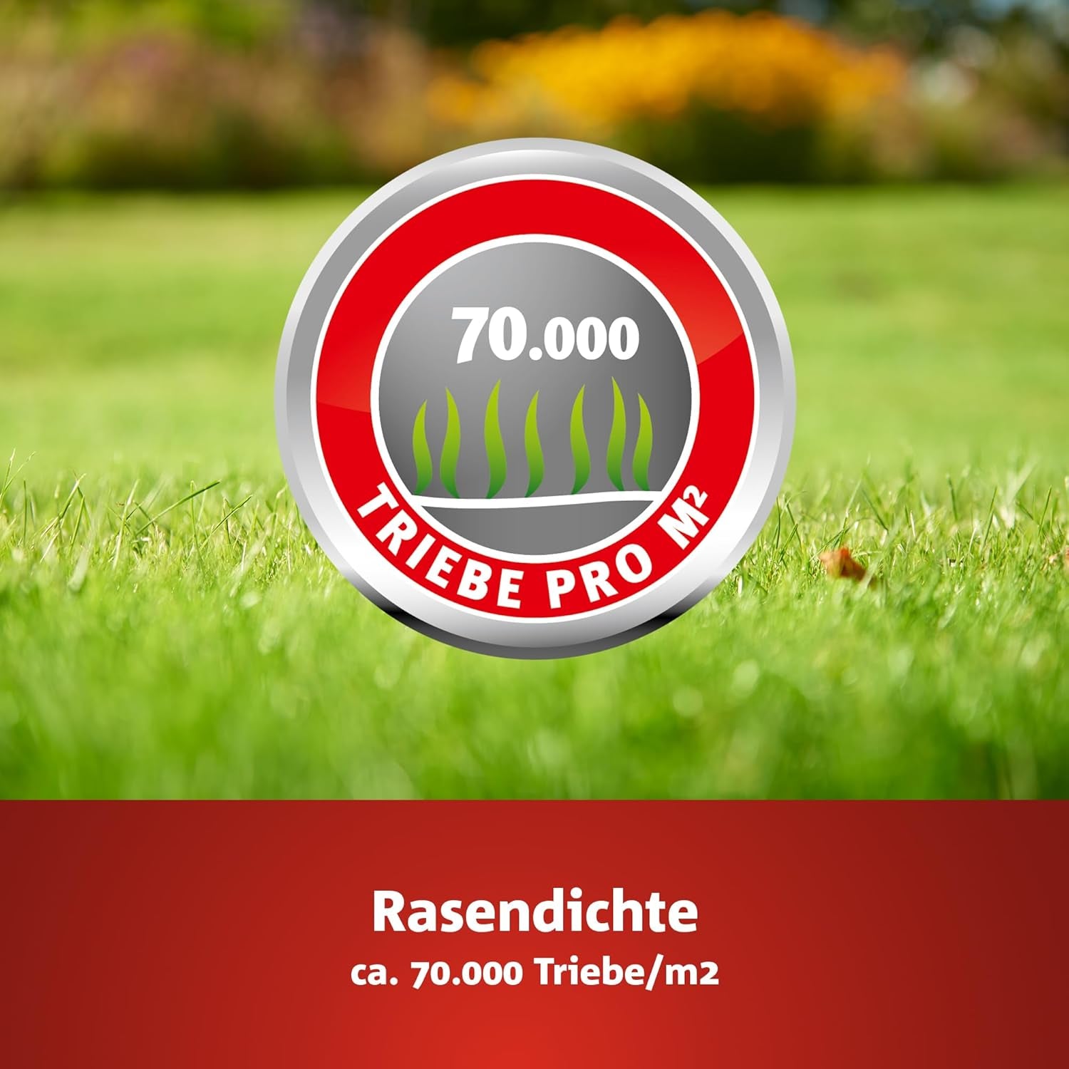 Wolf-Garten Turbo-Nachsaat Zur Rasensanierung LR50 (Für 50 M2, Hohe Dichte Mit Ca. 70.000 Trieben/M2, Für Alle Rasentypen Geeignet, Mit Wolf-Garten Keimgarantie, Im 1Kg Karton) 3826031