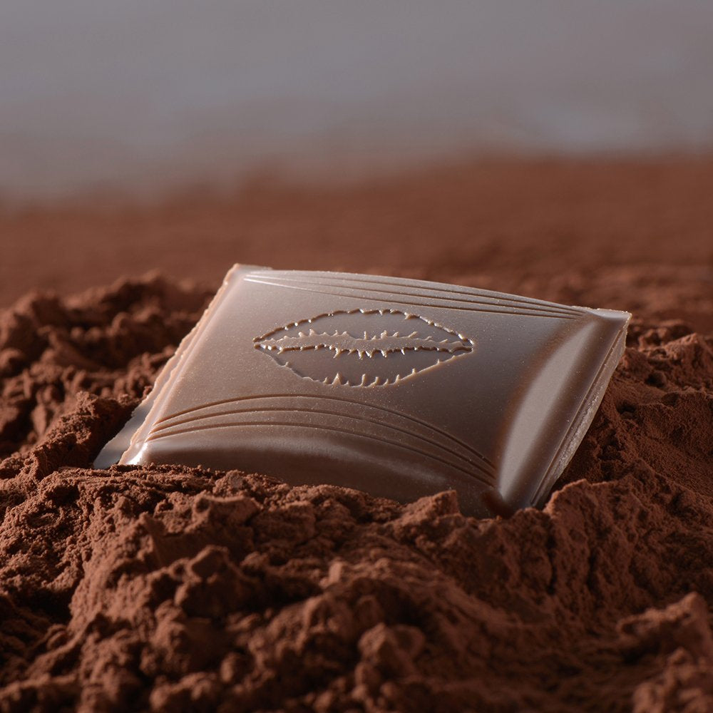 AHOJ Čokoláda se slaným karamelem | Tyčinka 100g | Mléčná čokoláda s náplní ze slaného karamelu | Čokoládová tyčinka | Čokoládový dárek (balení 5 ks)