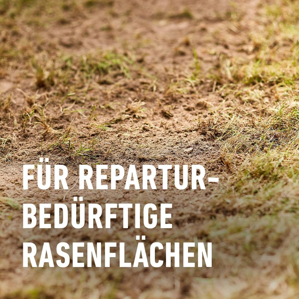 COMPO Turbo Nachsaat - Schnellkeimende Rasensaat - Premium Rasensamen Mit Keimsicherheit - 2,6Kg Für 130 M²