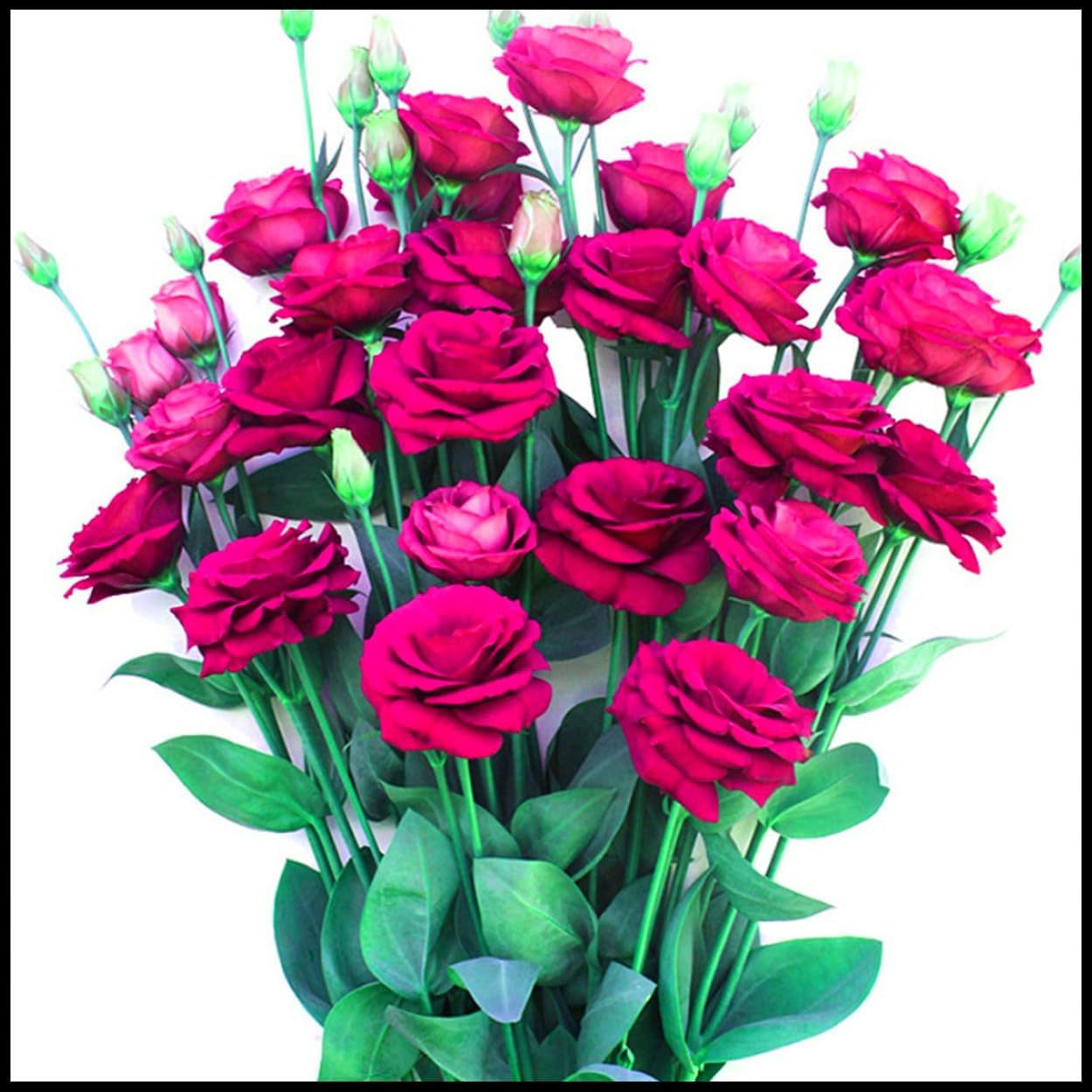 Směs cibulovin, mysteriózní kouzelná cibulka, mrazuvzdorná výsadba, mrazuvzdorná trvalka, mrazuvzdorné cibuloviny – 3 cibule orchidejí