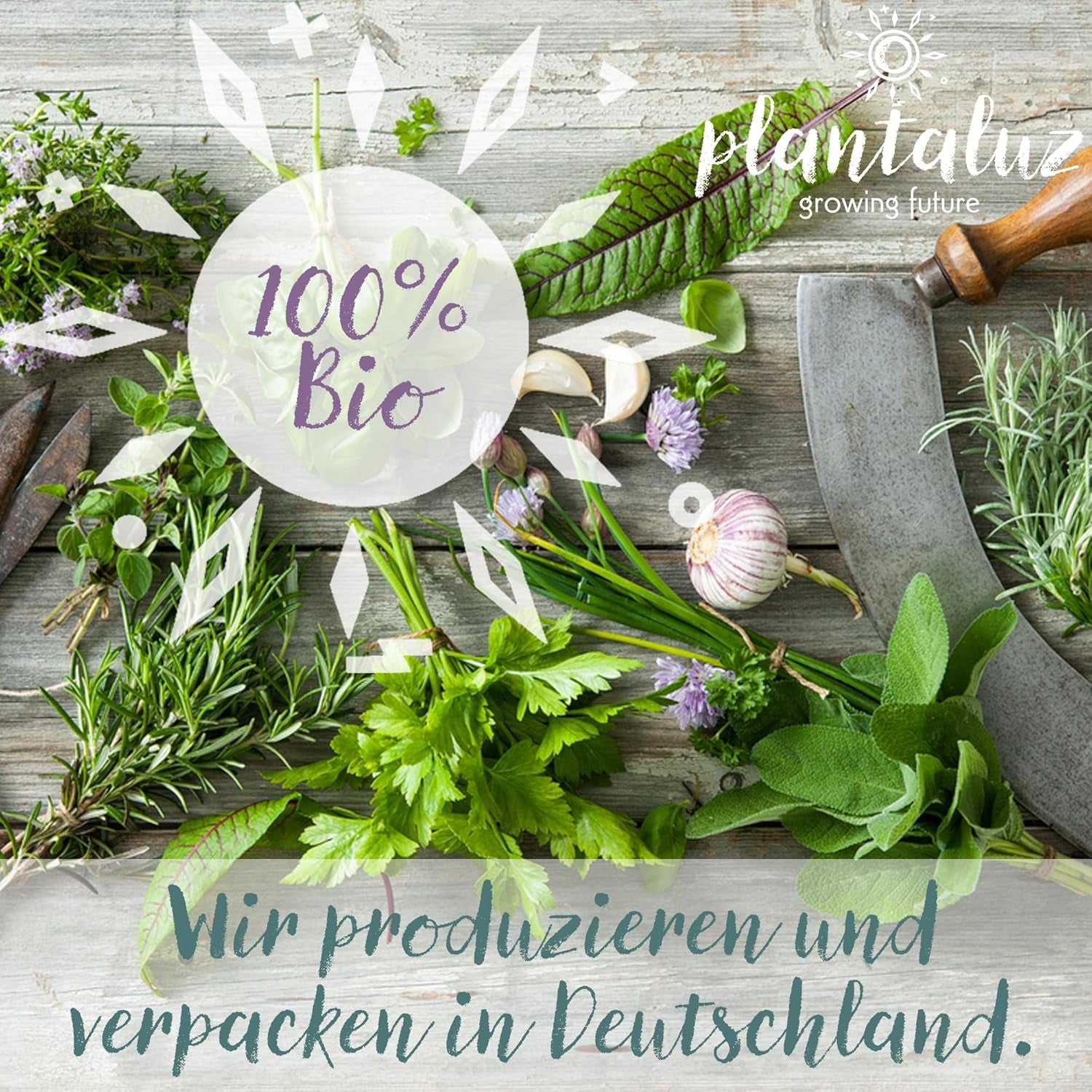 Plantaluz Prémiová sada organických semen P04 – Sada středomořských semen zeleniny a bylin s 10 odrůdami pro zahradu, balkón a vyvýšené záhony – Včetně FSC sázecích tyčinek – Volně opylovaná organická semínka bez GMO