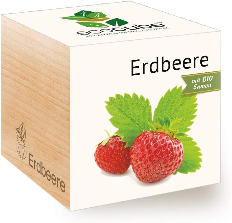 Feel Green Ecocube Weihnachtsbaum/Xmas Tree, Nachhaltige Geschenkidee (100% Eco Friendly), Grow Your Own/Anzuchtset, Pflanzen Im Holzwürfel, Made in Austria