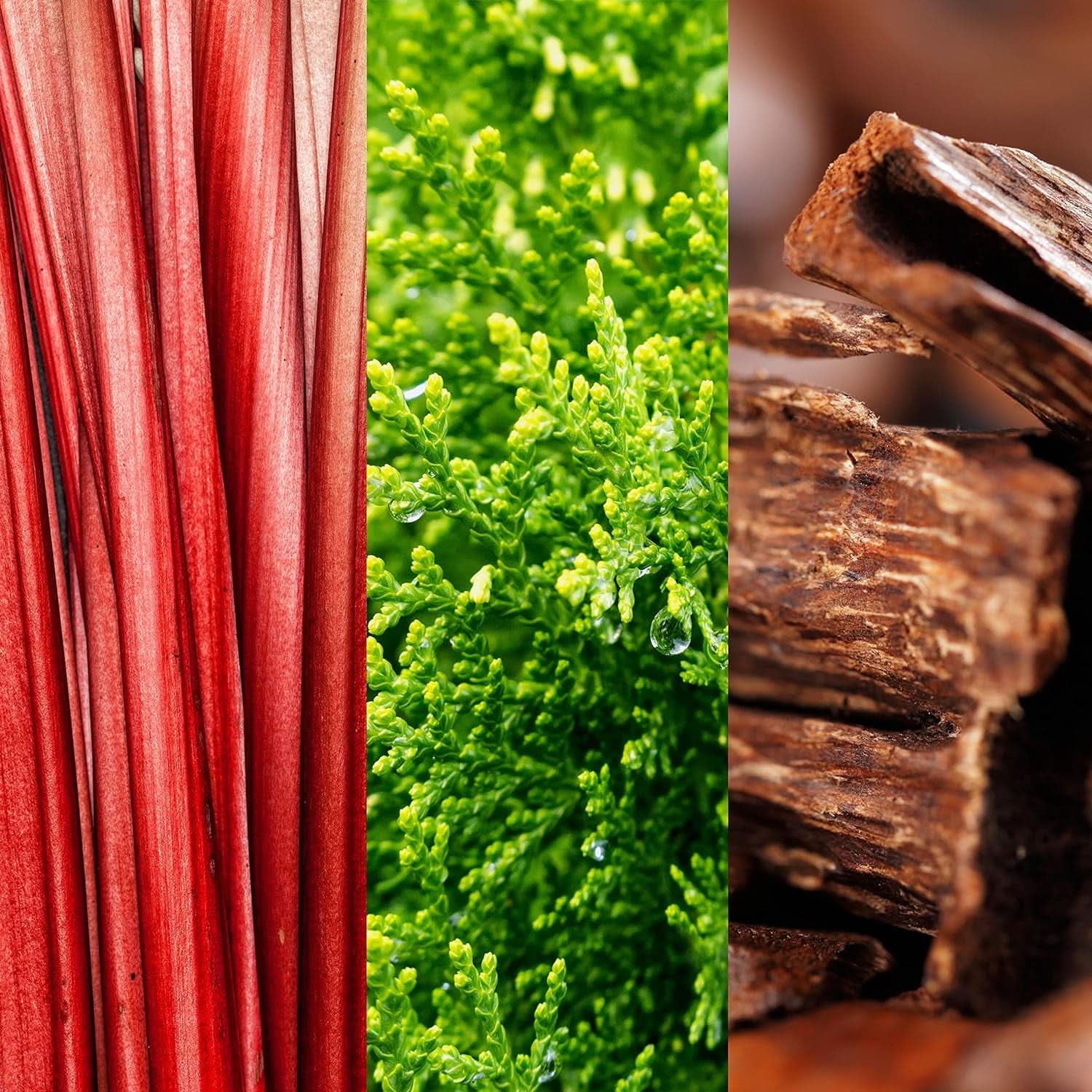 JOOP! Jít! Sprchový gel pro muže, s dřevitě-ovocnou vůní, 150 ml Sprchový gel a koupel Naty Shop