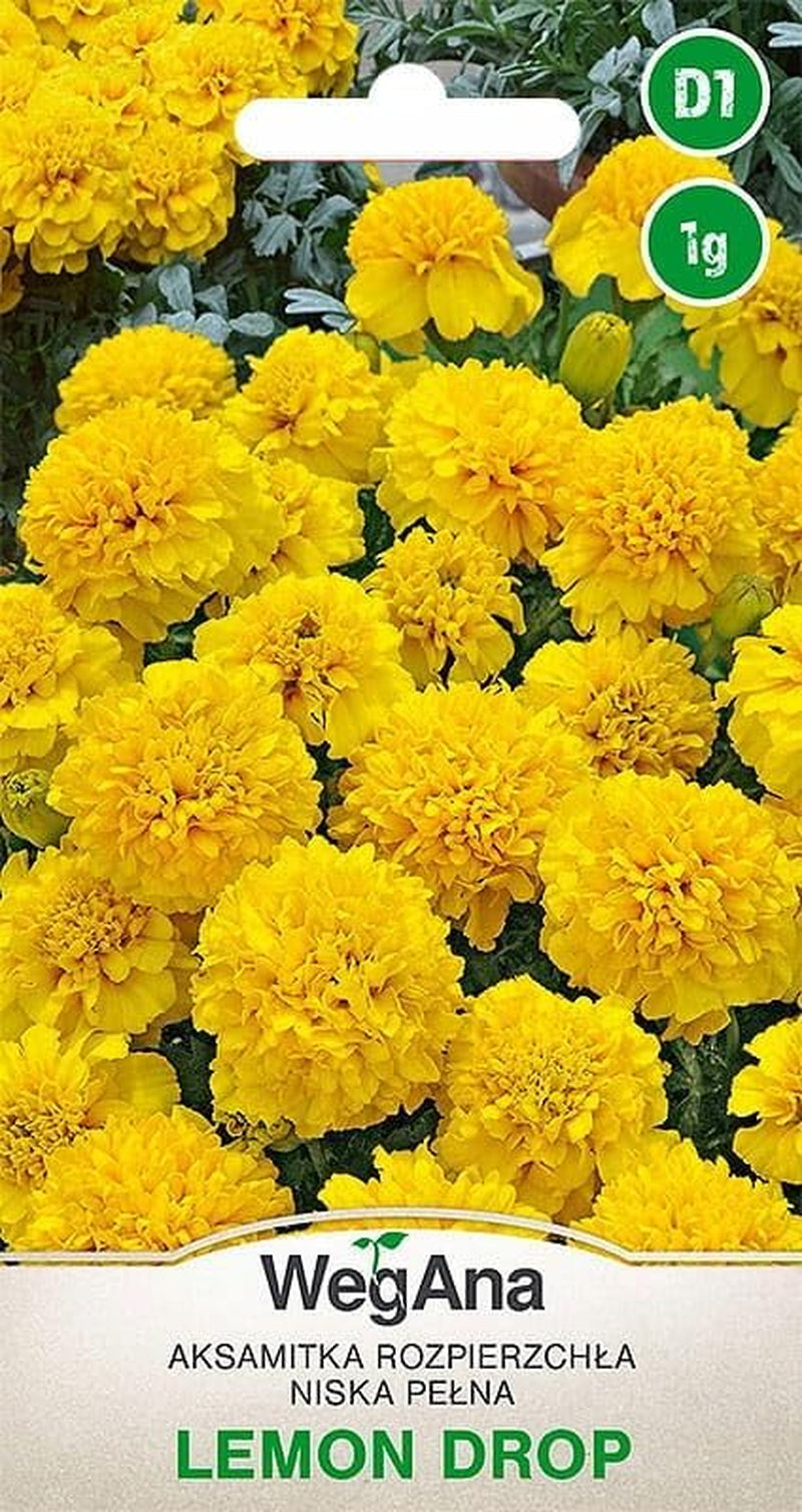 Cosmos Sensation Mix 1g semínek, Cosmos Mix Letní květiny, Zahradní rostliny Balkonové rostliny, Květinová semena