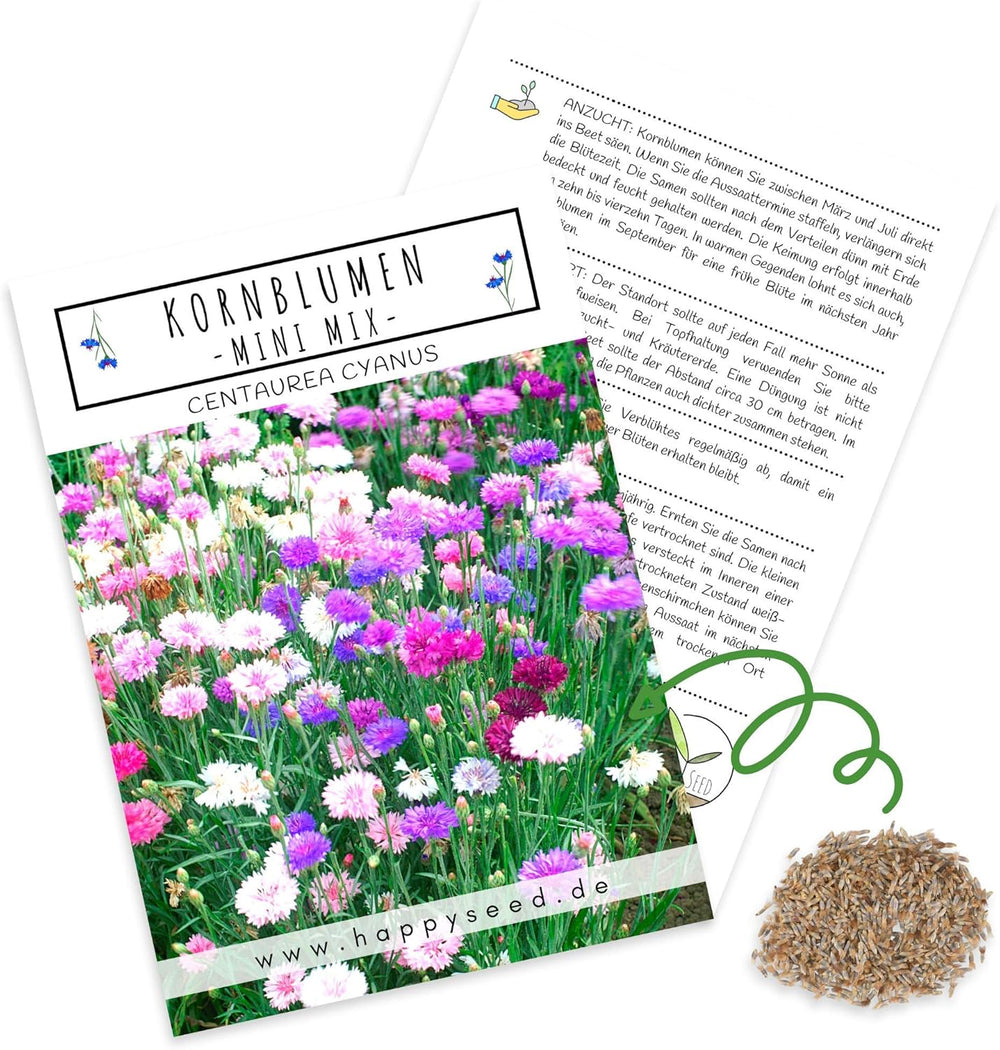 Semena Centaurea cyanus - Krásné a živé květy s dlouhou dobou kvetení pro barevnou květinovou louku (Mix, 1000 semen, 80 cm)