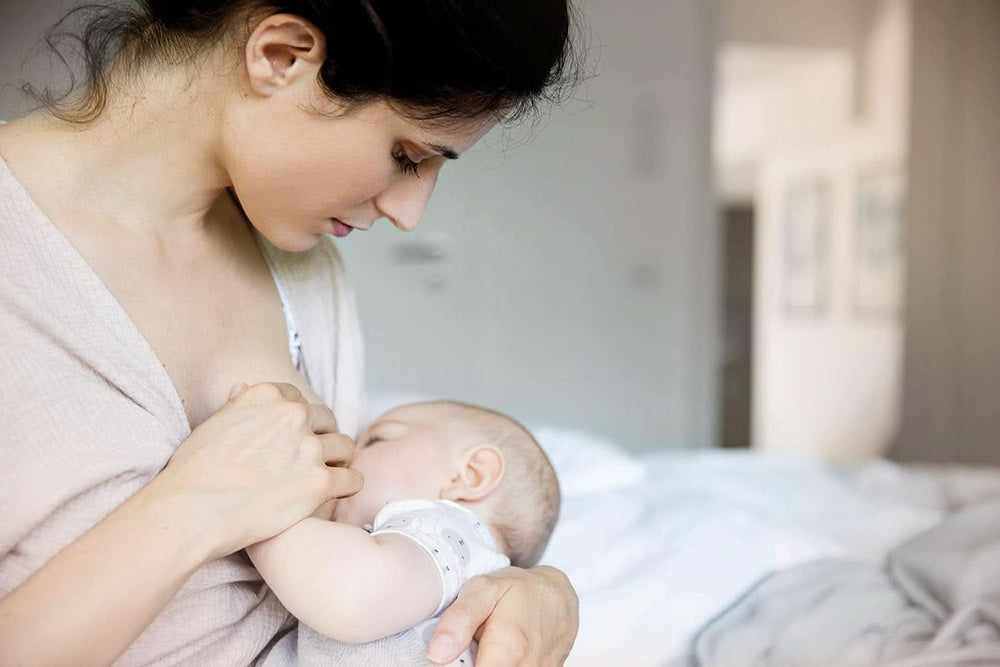 Nip® First Moments chrániče bradavek, 2 kusy Příslušenství pro potraviny a kojení Bebe Naty Shop