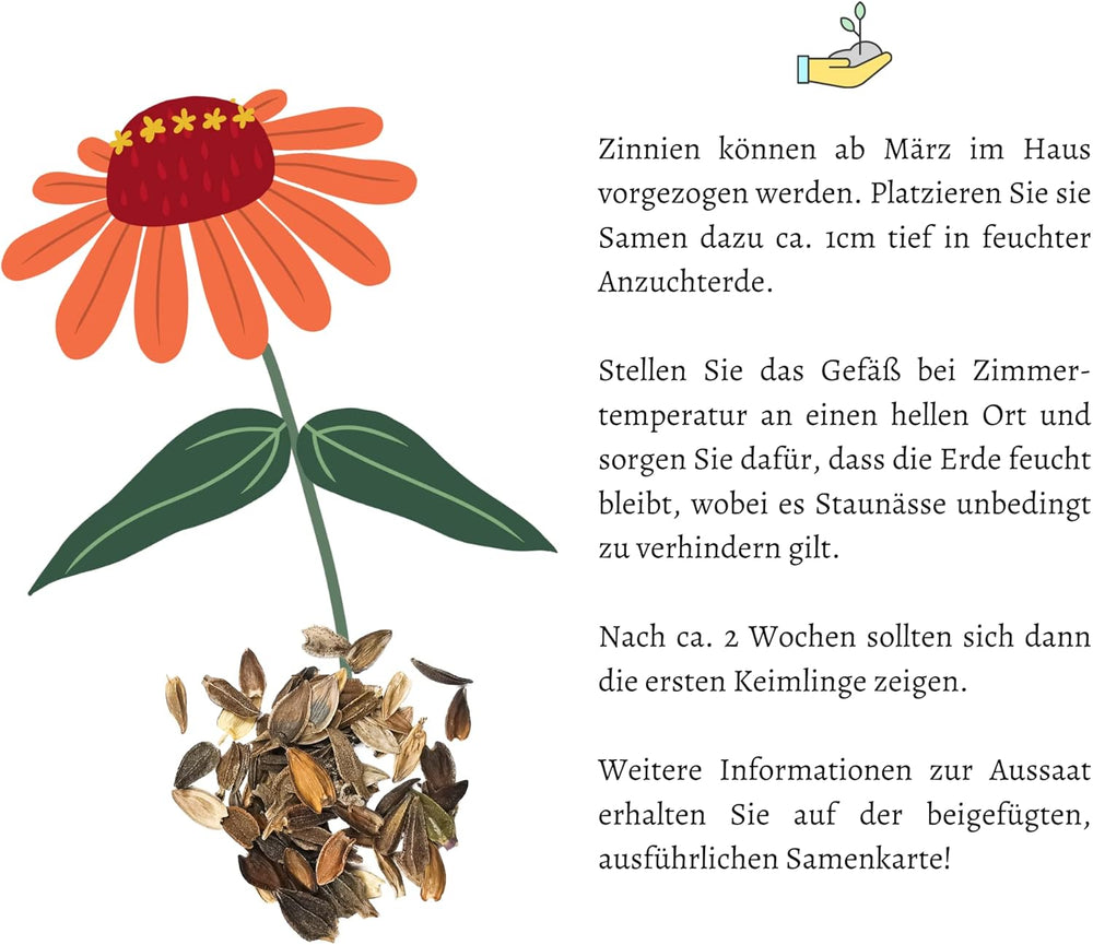 Směs semen cínie (Zinnia) - Barevné letní květiny na zahradní záhon, balkon, terasu i jako řezané květiny do váz