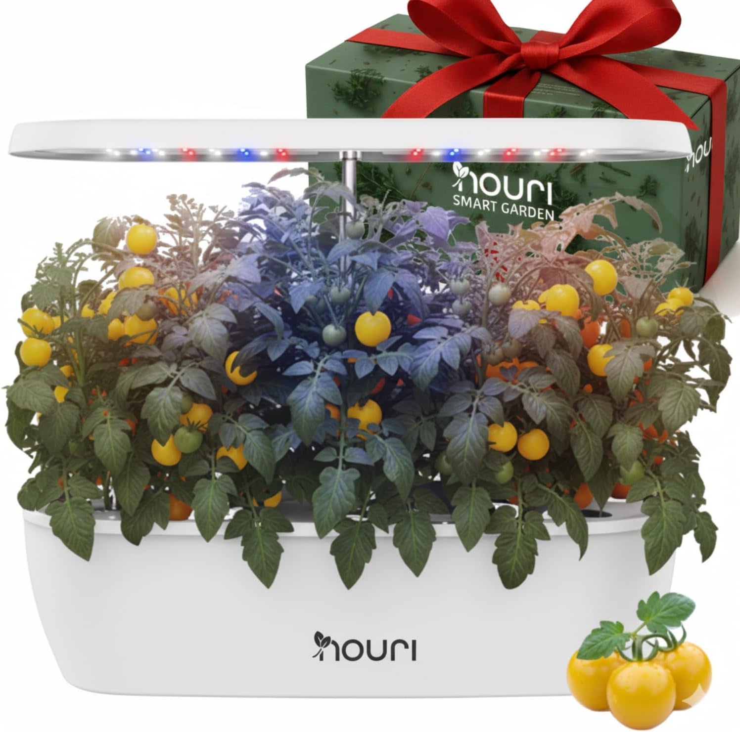 Nový 7 most + Heirloom Basil | Chytrá zahrada pro domácí kuchaře | Hydroponický pěstební systém | LED růstová světla | Sada pro pokojové bylinkové zahradnictví pro milovníky rostlin a zahradníky, bílá