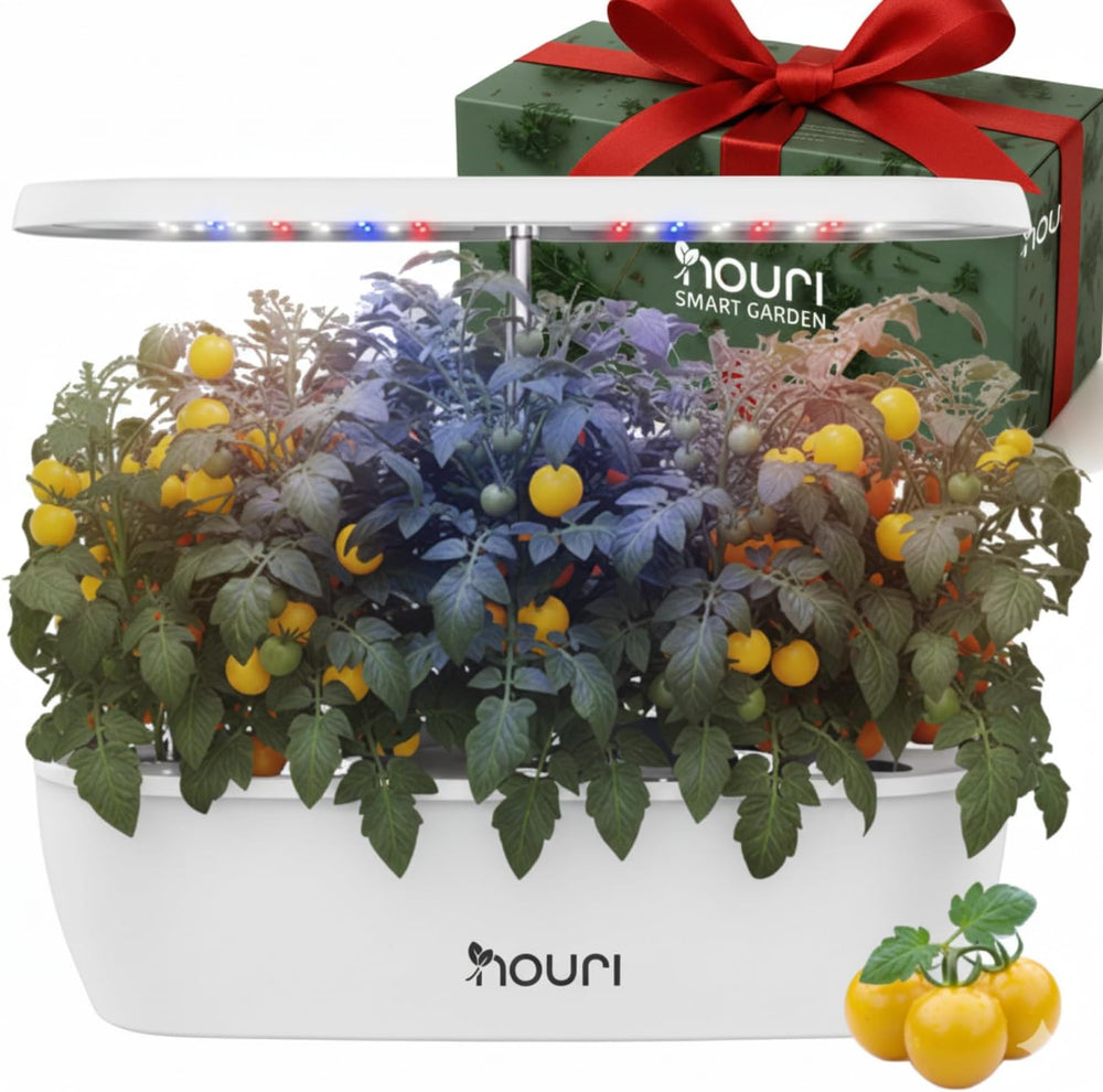 Nový 7 most + Heirloom Basil | Chytrá zahrada pro domácí kuchaře | Hydroponický pěstební systém | LED růstová světla | Sada pro pokojové bylinkové zahradnictví pro milovníky rostlin a zahradníky, bílá