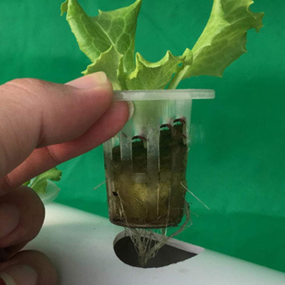 1vrstvá sada pro hydroponické pěstování s 54 květináči, systémy pro pěstování bez půdy z PVC s vodní pumpou, sady pro hydroponické pěstování pro pěstování zeleniny a ovoce na balkónech, zahradách, terasách a dvorcích