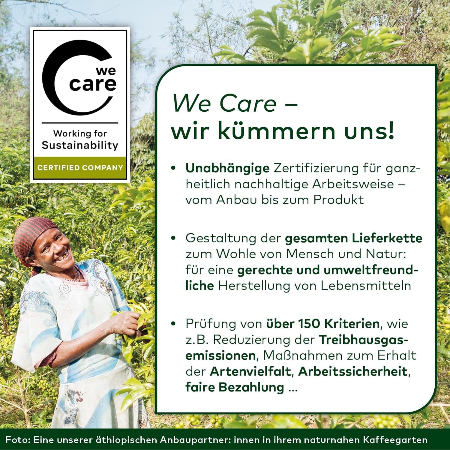 Lebensbaum Darjeeling Ceai verde cu frunze întregi, ceai organic, ceai verde cu aromă proaspătă de flori, cu o culoare ușor verde, 1000 g