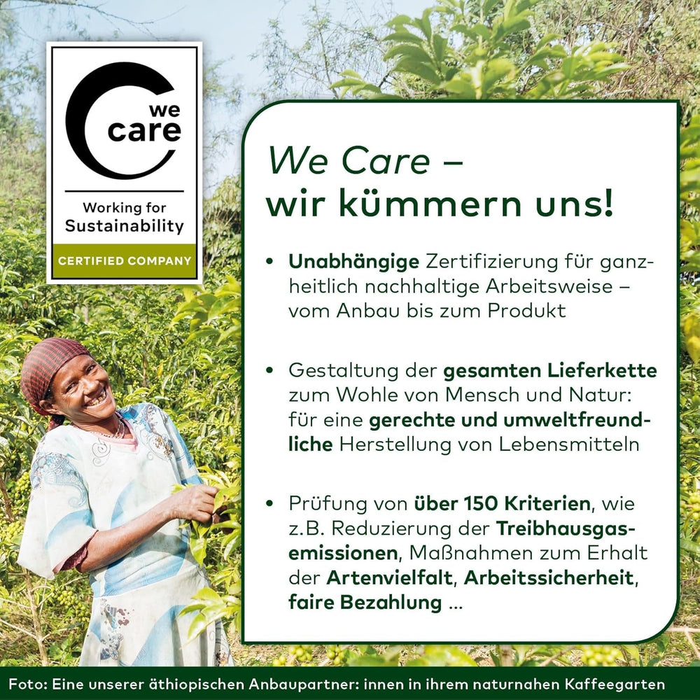 LEBENSBAUM Ceai de iasomie, ceai organic cu flori proaspete de iasomie, pliculețe de ceai verde, gust 100% natural, 20 pliculețe de ceai à 1,5 g