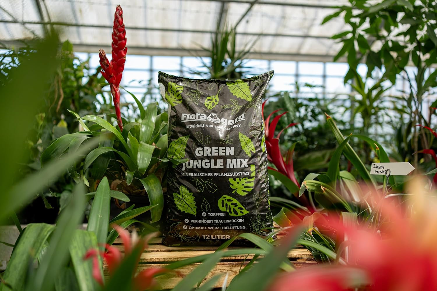 Floragard Green Jungle Mix 6 L - minerální substrát pro výsadbu Monstera, Filodendron - zajišťuje optimální drenáž a zdravý růst kořenů - ideální pro náročné pokojové rostliny
