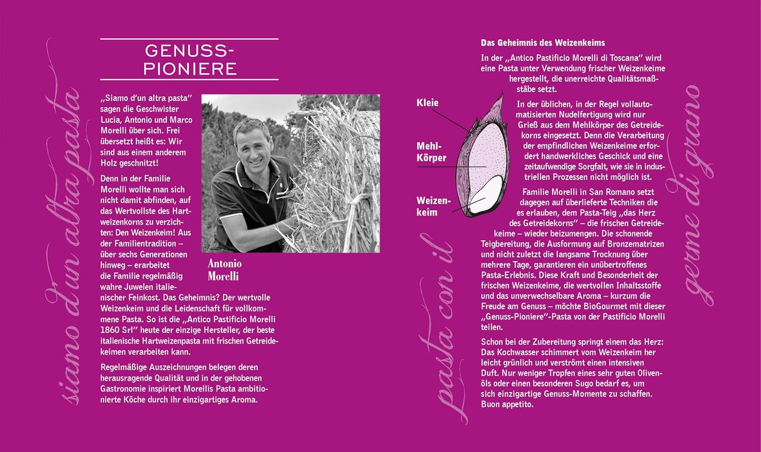 BioGourmet Pappardelle s pšeničnými klíčky - BIO široké těstoviny na dušená jídla a omáčky - s extra živinami | 500 g BIO a Vegan