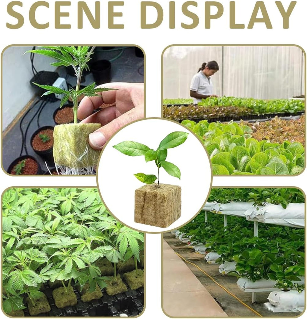 Rockwool Seedling Cubes 28 - Rockwool Cubes 4x4x4cm - Sadbové kostky, Rockwool Kostky, Hydroponické sadební systémy/Klonované rostliny/Školní projekty, Pěstování sazenic bez půdy