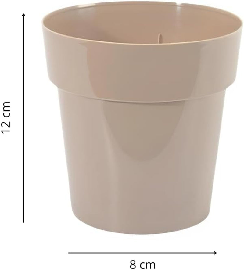 Ghiveci mic din plastic - diametru 12 cm, ușor și durabil, ideal pentru răsaduri, butași și plante de apartament - culoare aleatorie, Aléatoire