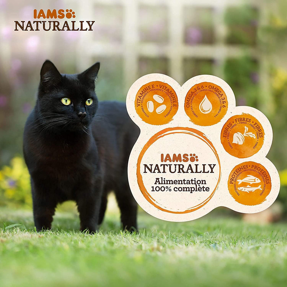 IAMS Hrană umedă naturală pentru pisici în sos - Hrană umedă de înaltă calitate cu pește pentru pisici adulte, Colecția Sea, 12 x 85 g