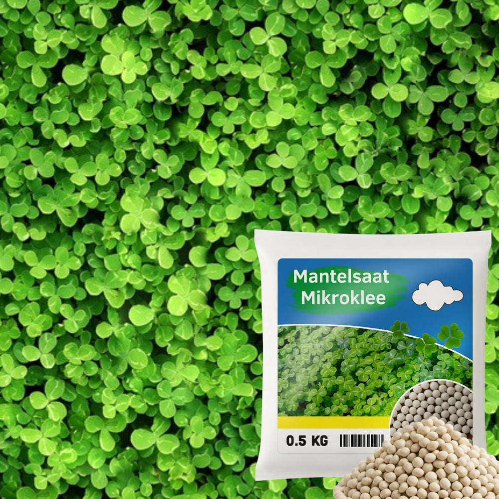 Květinová louka - Směs květin šetrná k včelám - Květiny a trávy pro suchá místa - Semena divokých květin - Směs semen jednoletých a trvalek